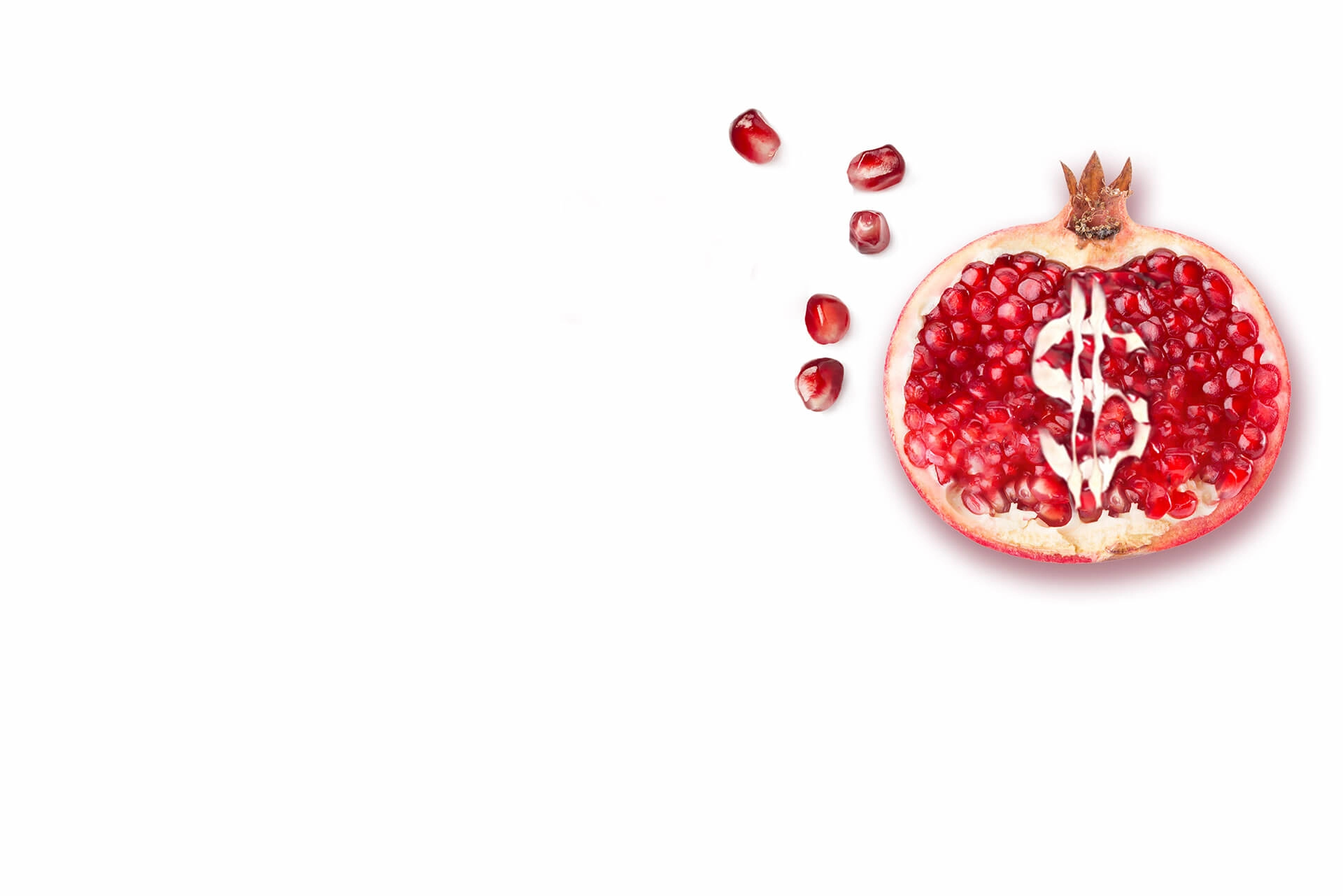 Headerbanner Blog For Every Dollar (2)