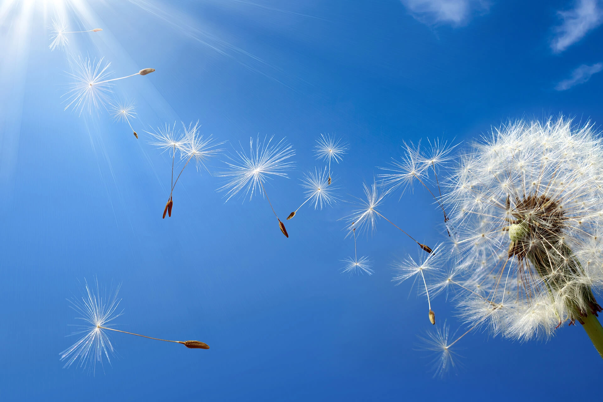 Headerbanner Blog The Importance Of Brand Advocacy (1)