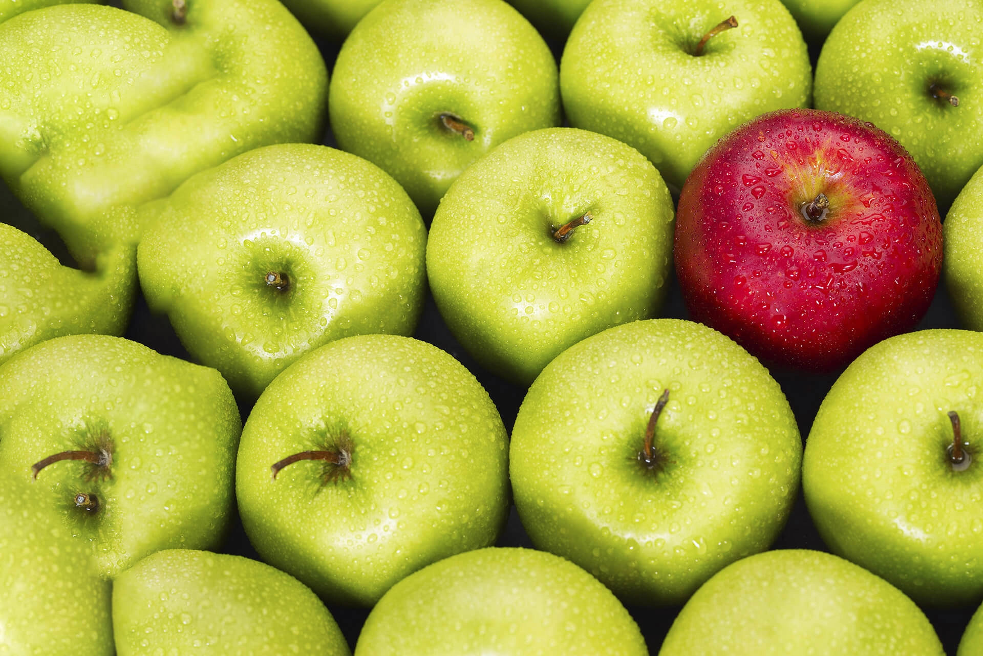 Headerbanner Blog How To Differentiate Your Business In A Competitive Market (1)
