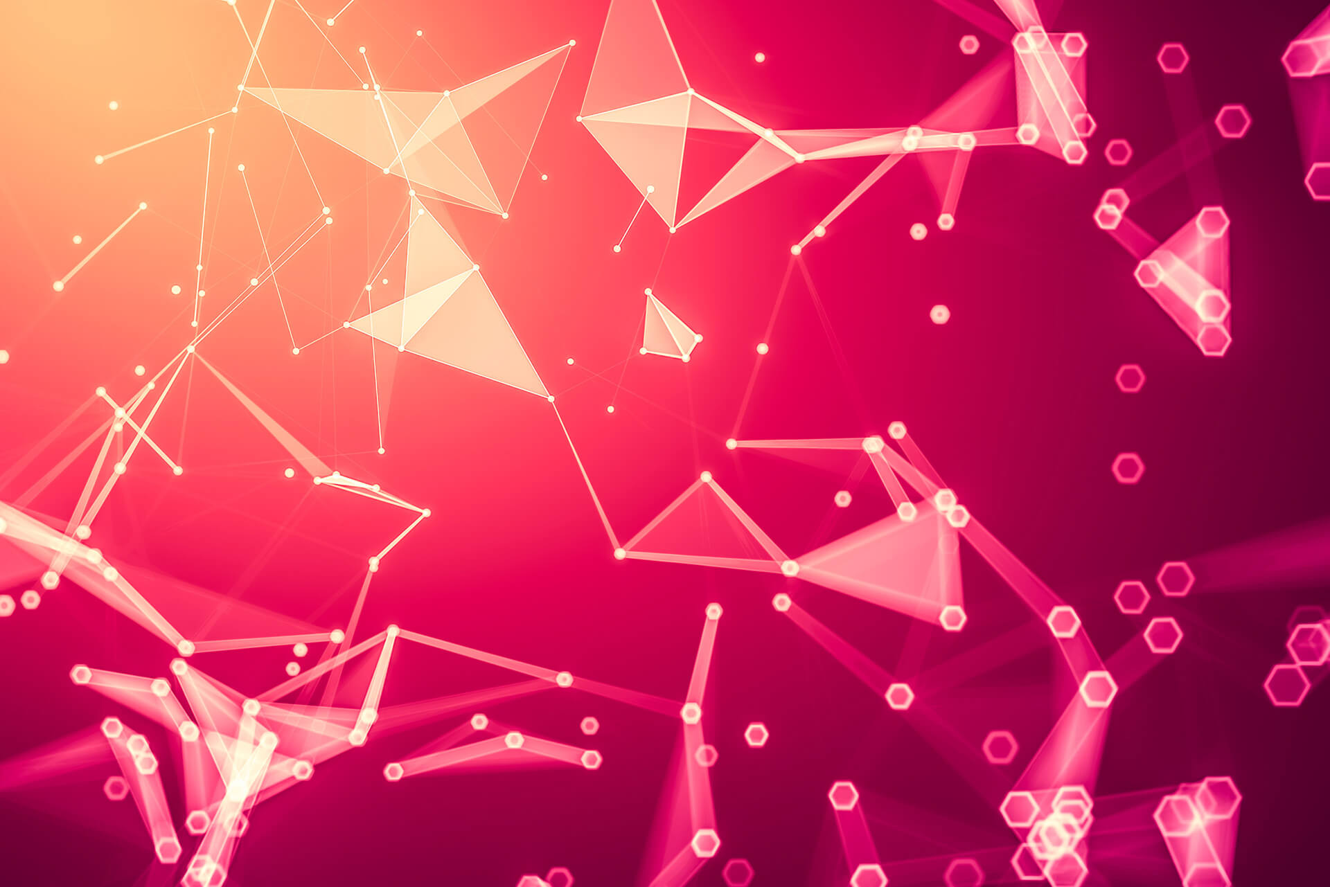 Supporting Rimilia's international growth through a new brand and marketing strategy